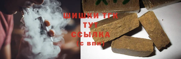 эйфоретик Ельня