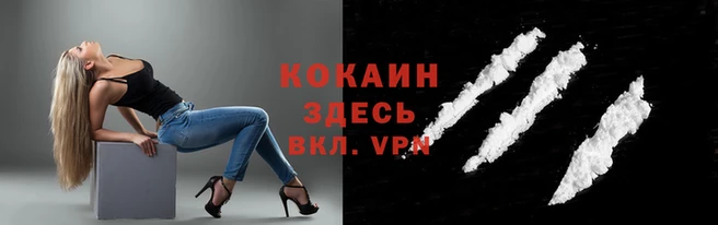 дживик Елизово