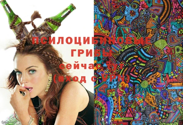 дживик Елизово