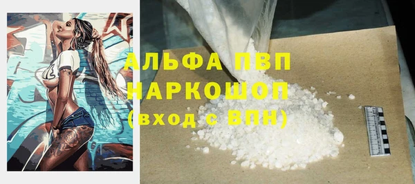 СК Елабуга
