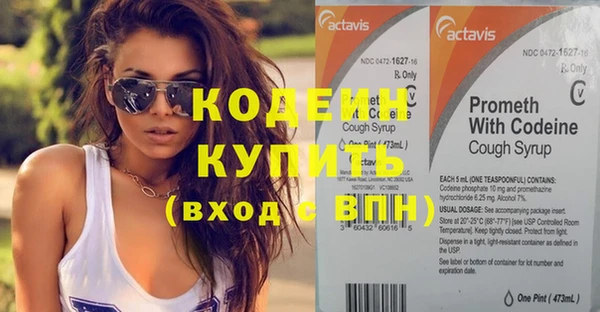 эйфоретик Ельня