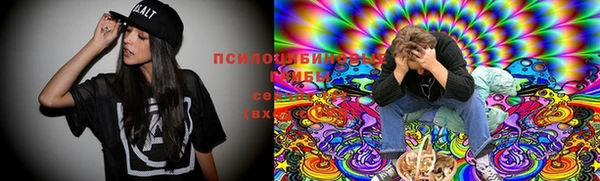 эйфоретик Ельня