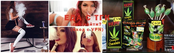 СК Елабуга