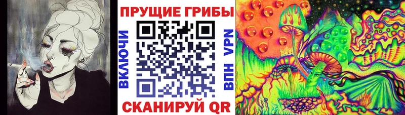 Галлюциногенные грибы прущие грибы  даркнет состав  Отрадный  сколько стоит 