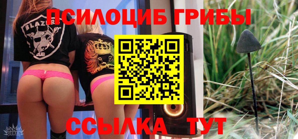 Отрадный  Галлюциногенные грибы Psilocybine cubensis  Вход с VPN 