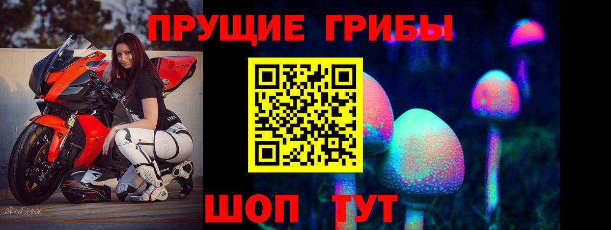 Галлюциногенные грибы Psilocybe Отрадный